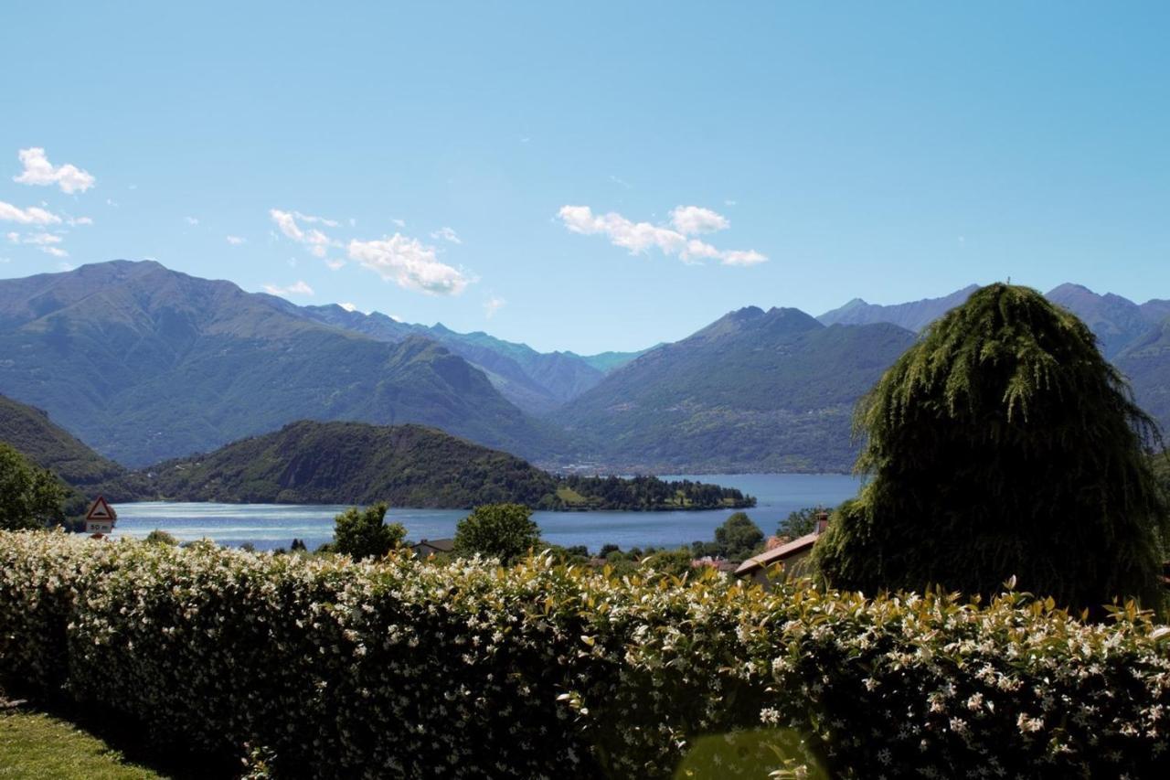 Villatrecariole *